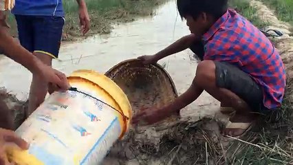 WOW!! Amazing Children Catch Many Fish By Hand - Children Fishing