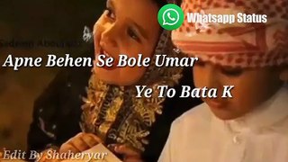 whatsapp status video -