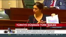 Türkiye düşmanı Türk bakan