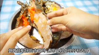 [特別版] 芝士龍蝦伊麵食譜 Lobster cheese noodle recipe * Amy Kitchen