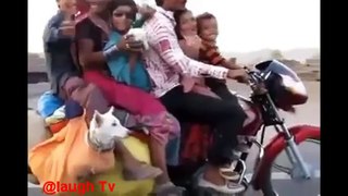 funny videos