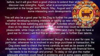 Dog 2017 Chinese Horoscope Predictions