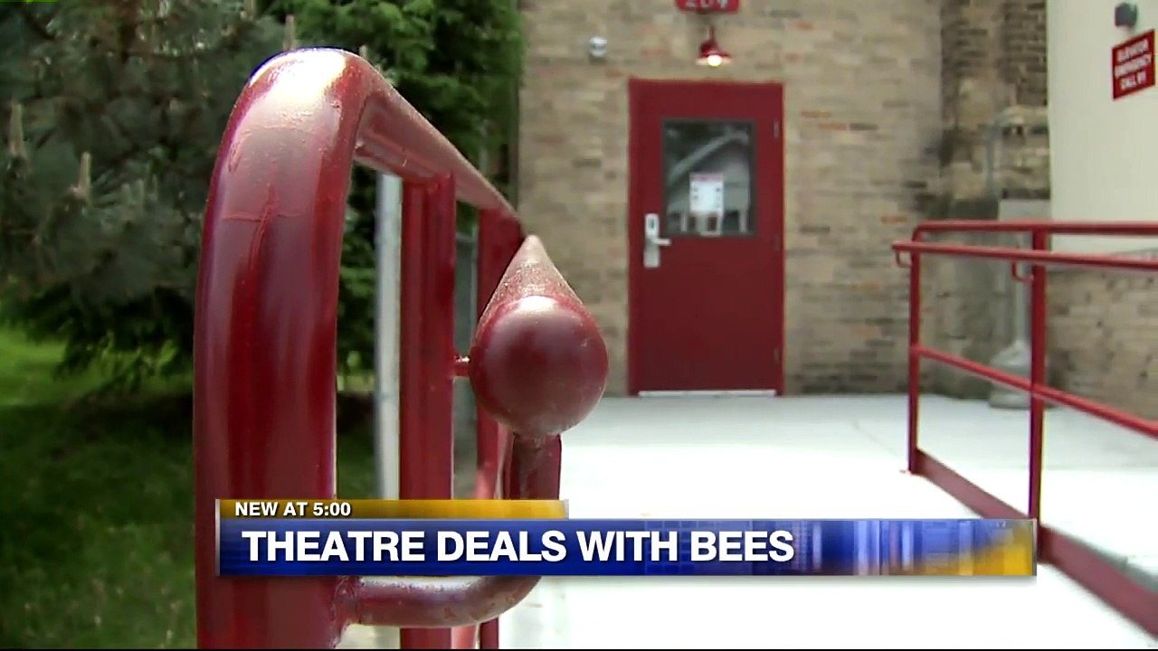 Wisconsin Community Theater Inundated by Tens of Thousands of Bees