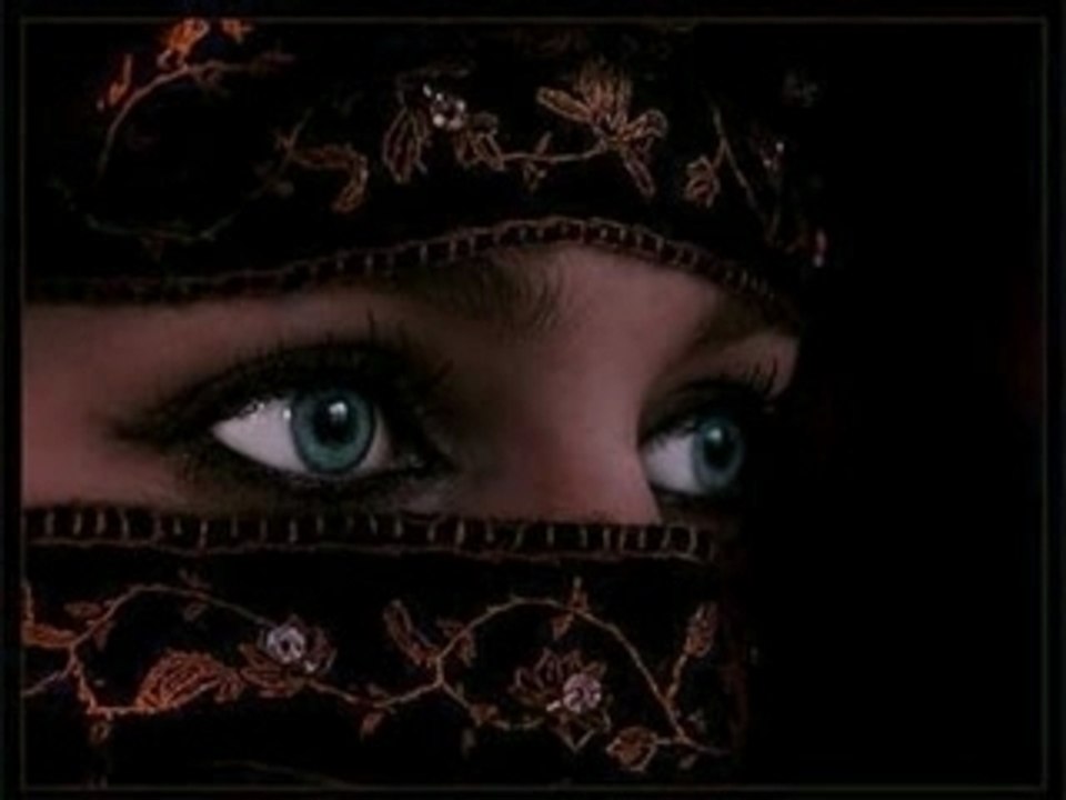 Touche pas a mon voile 2