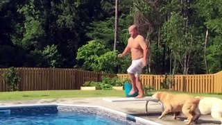 These clumsy dogs will lighten up your day