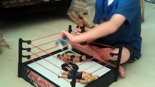 Blakes WWE wrestling figures match