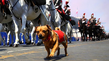 Köztársaság Napja Olaszországban