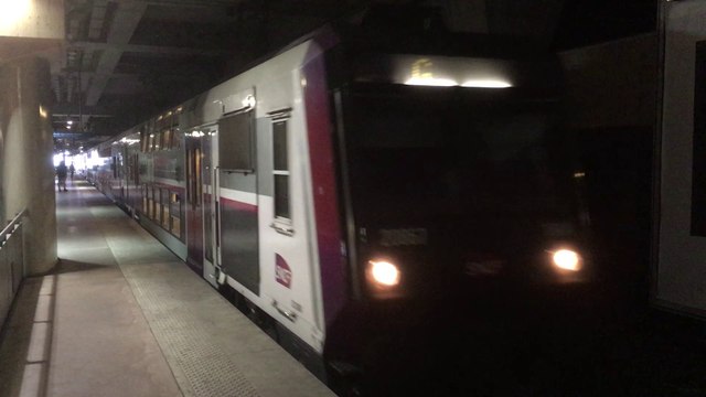 Z 20500 ( Z 2N ) - RER C - Bibliothèque François Mitterand ( Paris )