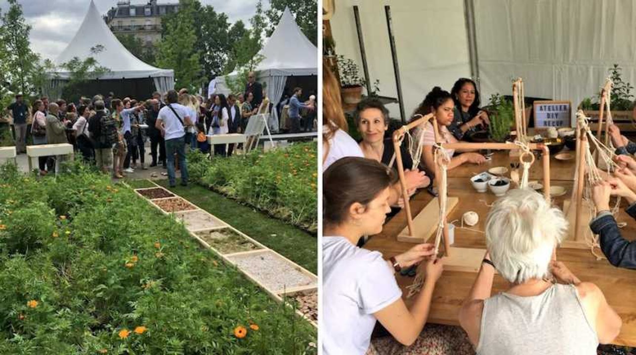 Des vaches et des fleurs en plein Paris pour "célébrer la biodiversité" et l'agriculture urbaine