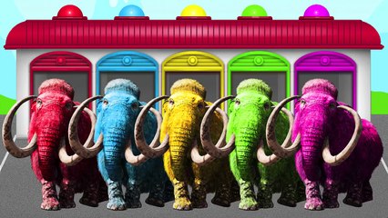 Extra 10 Colors with Mammoth! Learn 10 colors and 10 numbers