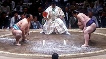 琴勇輝 vs 明瀬山 2018年大相撲夏場所初日 20180513