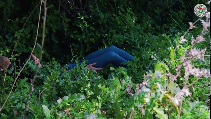 مسلسل النار الباردة الحلقة 17 - Ennar el Barda HD