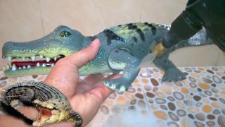 How to bathe crocodile. Crocodile wash. Video for kids | Крокодил стирка, детские игрушки