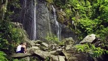 El Yunque holds a special place in my heart. I'm thrilled that the only tropical rain forest in the United States, is ready to enchant you with two beautiful tr