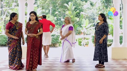 Seetha | Flowers | Ep# 355