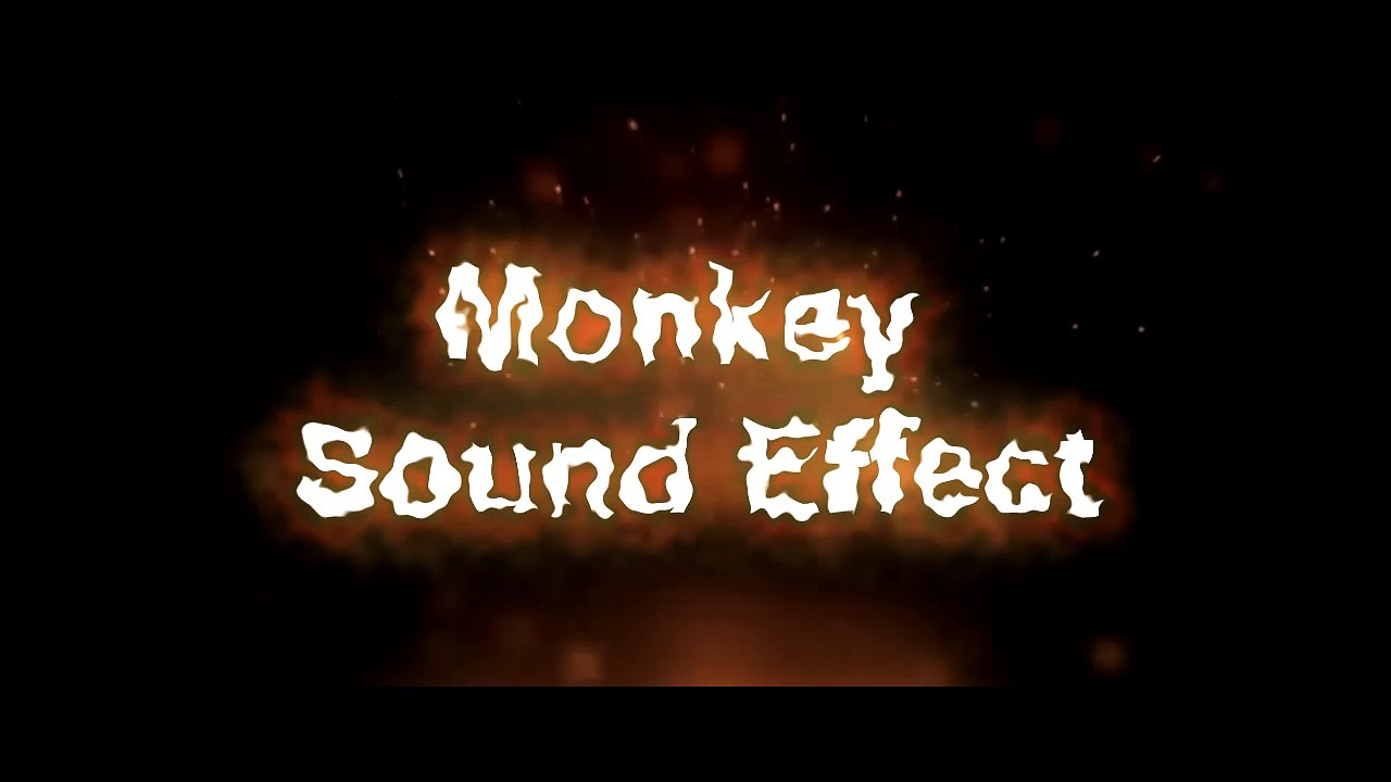 Monkey Sound Effect