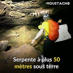 Win Timdouine, la grotte aux mille merveilles, considérée comme la plus belle d’Afrique !