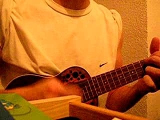 DIONYSOS - MISS ACACIA