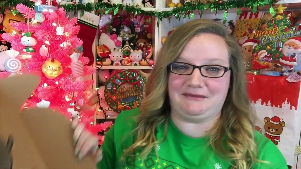 WINTER PUSHEEN BOX! 2016