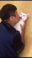 Cat Meows When Kissed