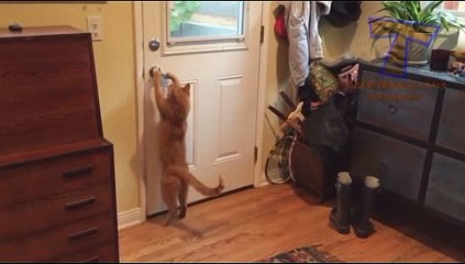 온라인경마사이트 , 경마사이트 , RACC55 ,COM 일요경마