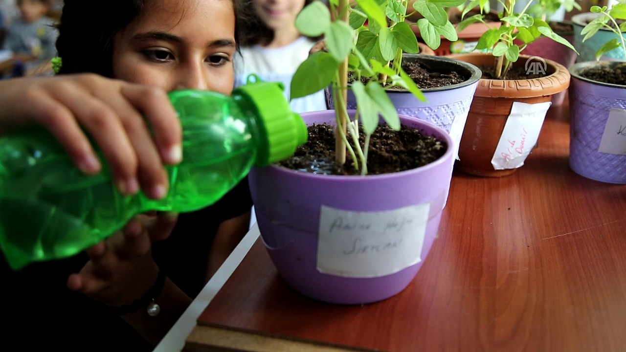 Anneye mektup yazılan kalemler yeşerdi - DİYARBAKIR