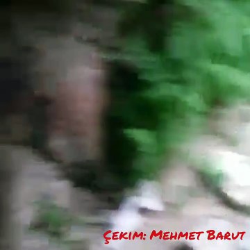 Eskişehir Çifteler ,Han Yer Altı Şehri (Midas) Part 1