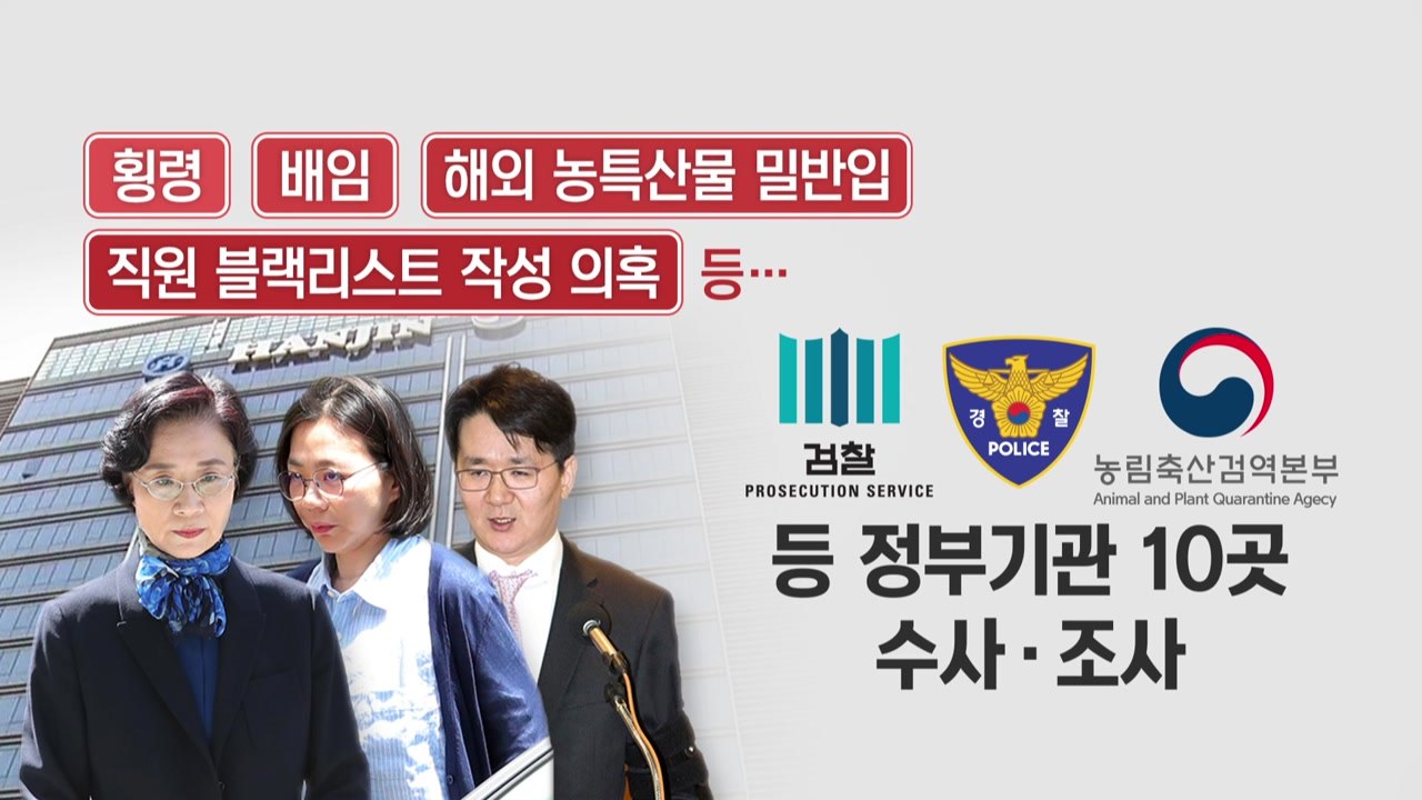 이명희 구속 여부 내일 결정...한진家 전방위 압박 / YTN