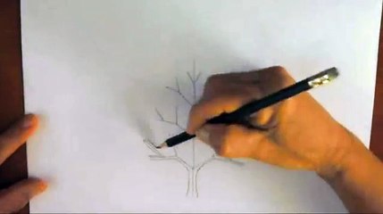 Como dibujar un árbol paso a paso, bien fácil. Bases para aprender a dibujar un arbolito clásico.