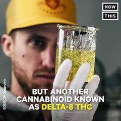 You probably haven’t heard of Delta-8 THC, but it has insane medical benefits (via NowThis Weed)