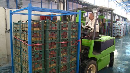 Qatar blockade: Surge in food imports from Iran