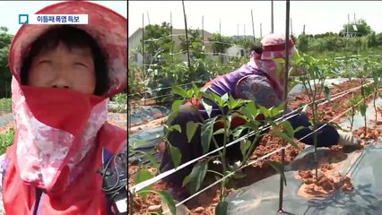 ‘덥다 더워’ 이틀째 폭염 특보…빨라진 피서