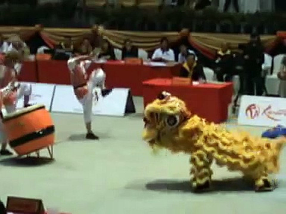Champion of the 1st National Junior Lion Dance Championship new
