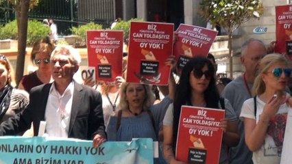 Hayvan Hakları Savunucuları: “Doğayı ve Hayvanların Yaşam Haklarını Korumayan Siyasilere Oy Yok” kampanyası başlattı