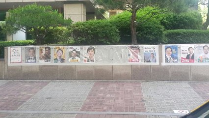 선거 벽보·현수막 고의 훼손 잇따라 / YTN