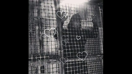 Marco Park$ - No Hearts ft. Aefly Def (Prod. By Marco Park$)