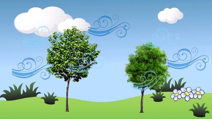 Учим ЯВЛЕНИЯ ПРИРОДЫ/ Развивающий мультфильм для детей