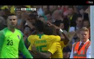 Firmino   Amazing  Goal     (2:0)  Brazil - Croatia