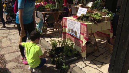 Madrid acoge la Fiesta de Huertos Escolares