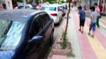 Otomobilden çıkan yılan korkuya neden oldu - SİİRT