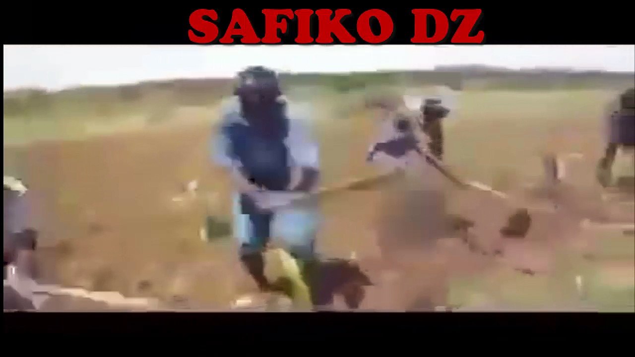 Agriculture in Africa\ شاهد عملية الحرث في المزمبيق