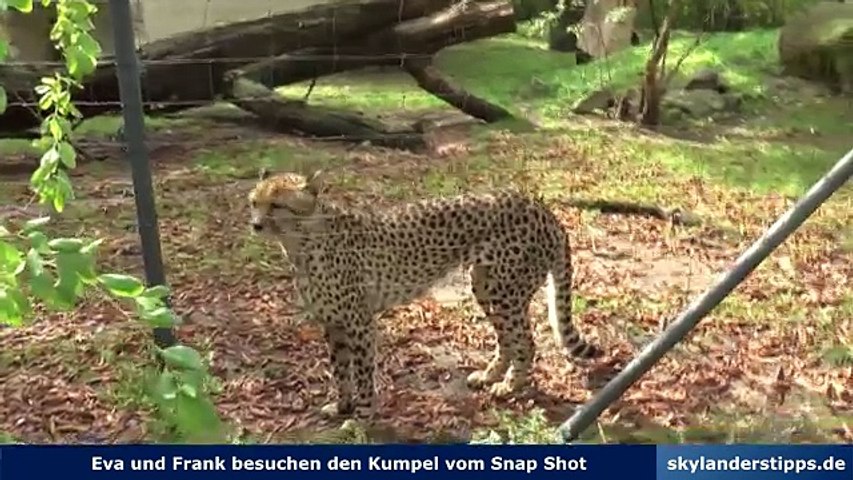 Skylanderstipps besucht den Kumpel von Snap Shot - Trap Team Tierpatenschaft - Zoo Dresden