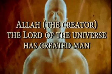 Islamic Purpose of Life