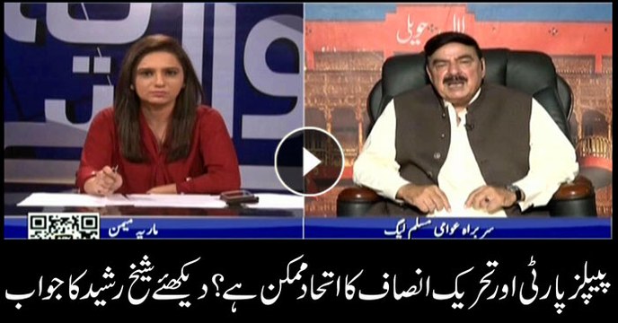 Is PTI-PPP coalition possible? Sheikh Rasheed tells