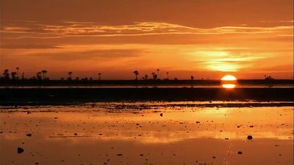 The Great Zebra Exodus - Incredible Nature Documentary