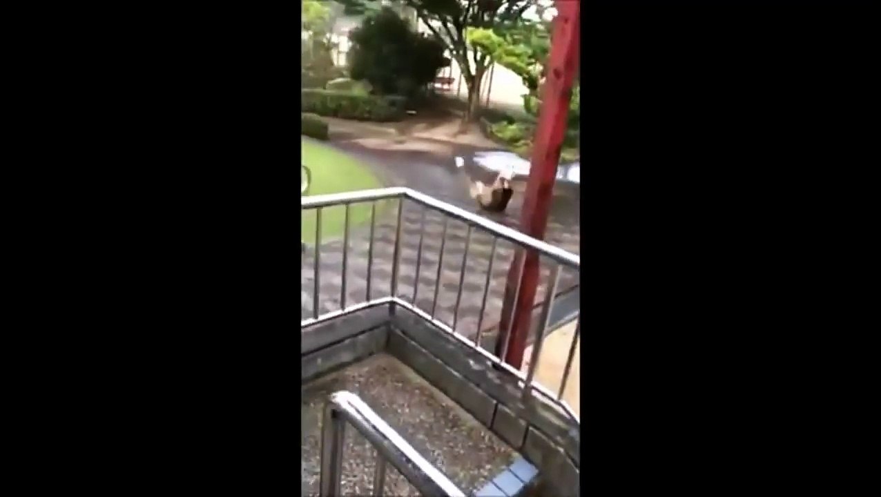 Le toboggan le plus dangereux est au Japon
