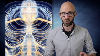 Why Does Coffee Make You Poop?