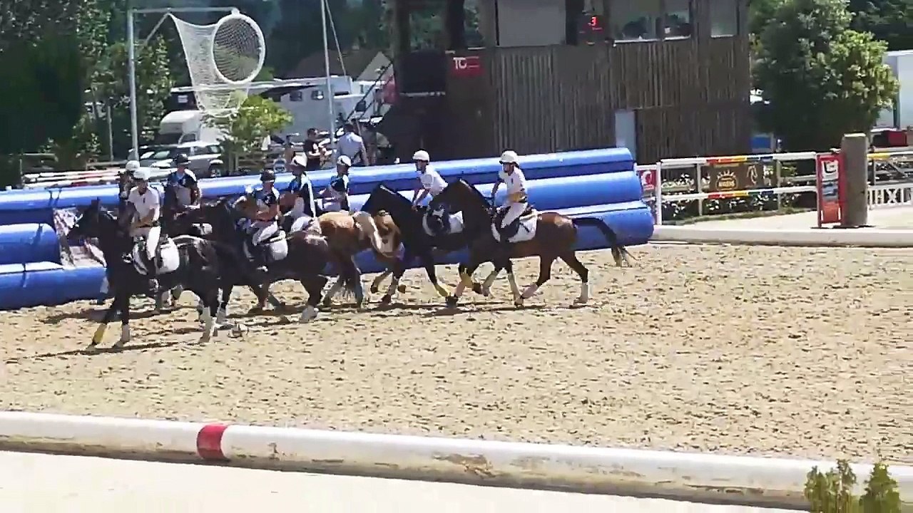 horse-ball