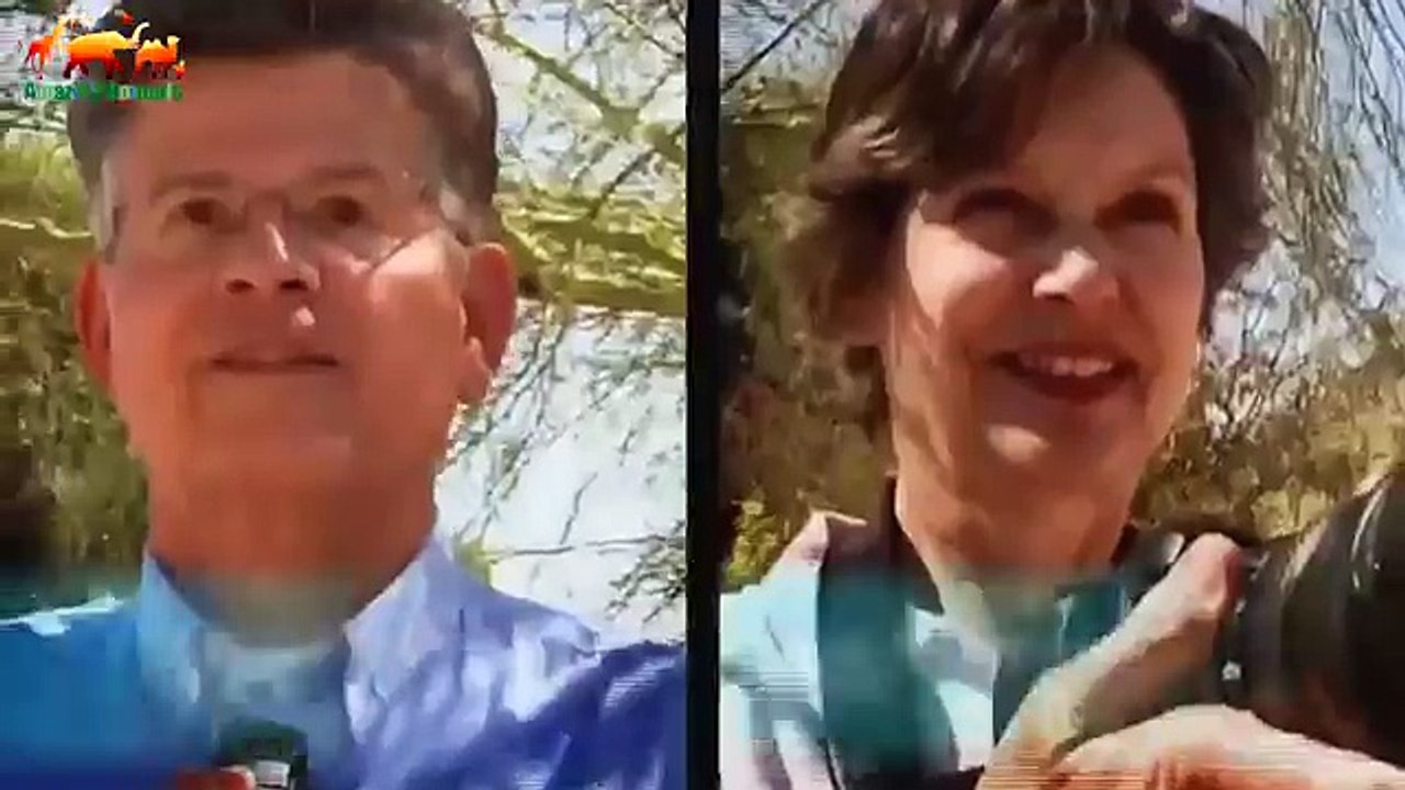 Павиан растерзал и съел детеныша антилопы FULL HD/ Антилопа искала детеныша много часов. Трогательн