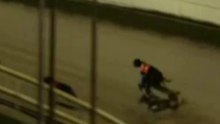 Horrible fall for greyhound at Limerick track